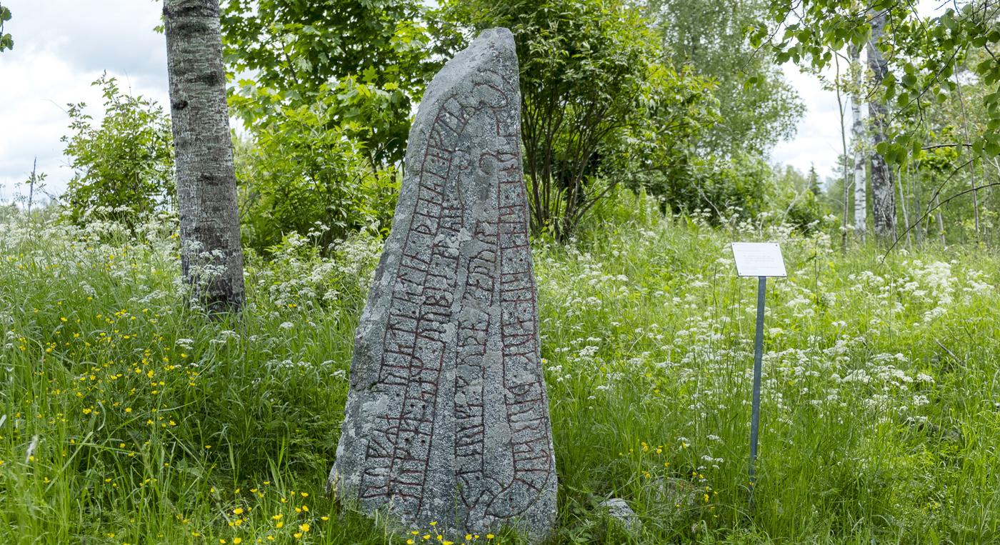 En runsten mitt i ett gräsfält.