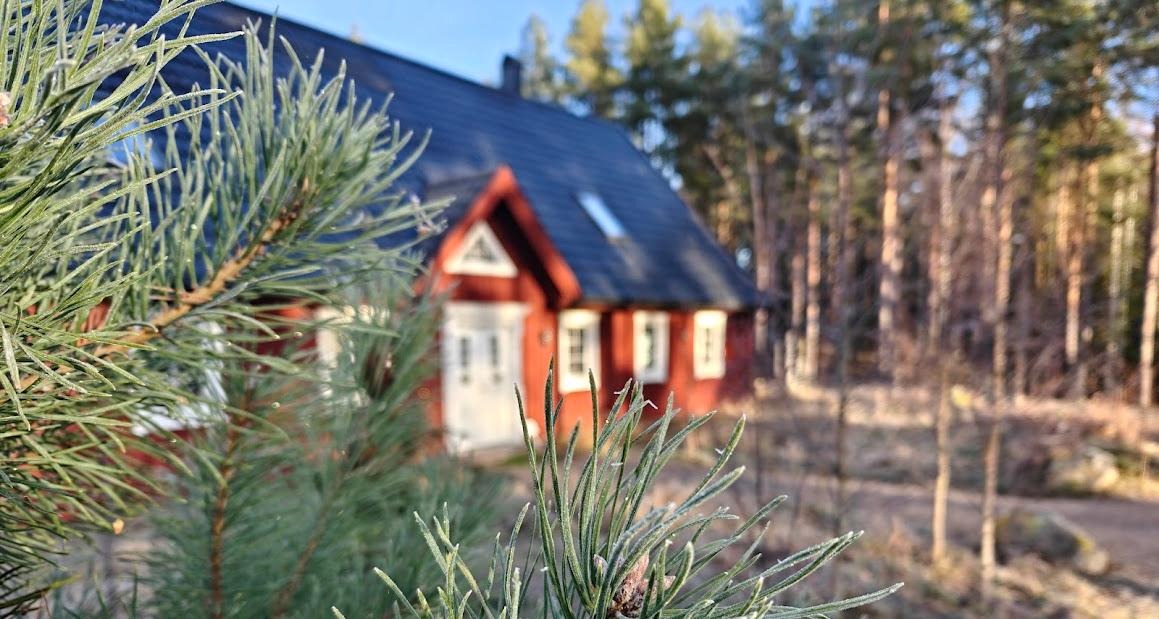 Bakom en frostig tall skymtar Skogslugnet, det större röda huset i Hagablänket, Stenberga.
